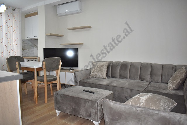 
One bedroom apartment for rent in Margarita Tutulani Street, near Kosovareve Street in Tirana, Alb